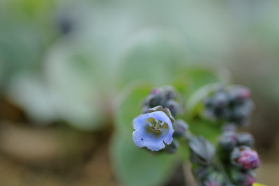 BUITEN BEELD Foto: 95963