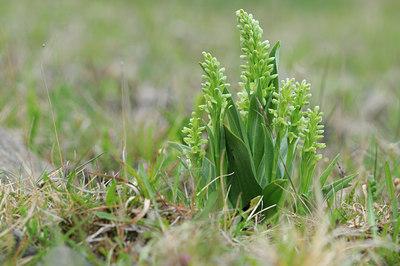 BUITEN BEELD Foto: 95969