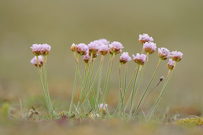 BUITEN BEELD Foto: 95973