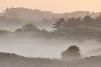 BUITEN BEELD Foto: 96070