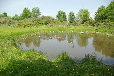 BUITEN BEELD Foto: 96090