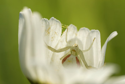 BUITEN BEELD Foto: 96118