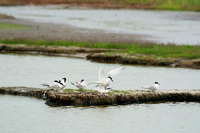 BUITEN BEELD Foto: 96159