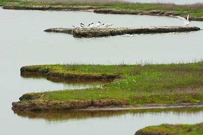 BUITEN BEELD Foto: 96160