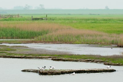 BUITEN BEELD Foto: 96161