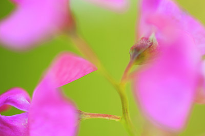 BUITEN BEELD Foto: 96203