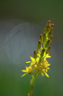 BUITEN BEELD Foto: 96214