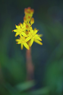 BUITEN BEELD Foto: 96217