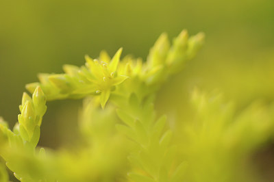 BUITEN BEELD Foto: 96252