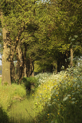BUITEN BEELD Foto: 96282