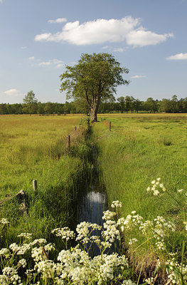 BUITEN BEELD Foto: 96288