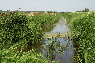 BUITEN BEELD Foto: 96294