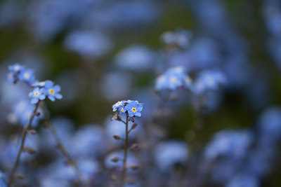 BUITEN BEELD Foto: 96318