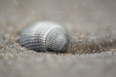 BUITEN BEELD Foto: 96369