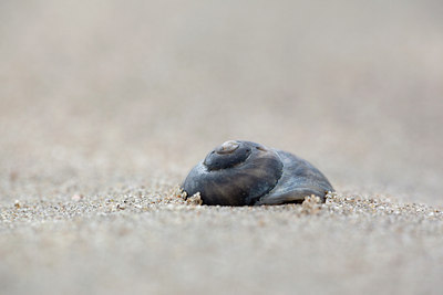 BUITEN BEELD Foto: 96372