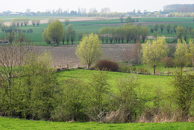 BUITEN BEELD Foto: 96397
