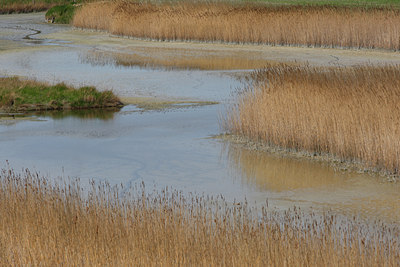 BUITEN BEELD Foto: 96398