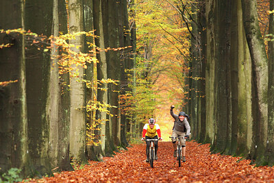 BUITEN BEELD Foto: 96465