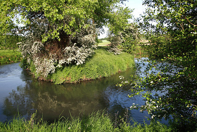 BUITEN BEELD Foto: 96521