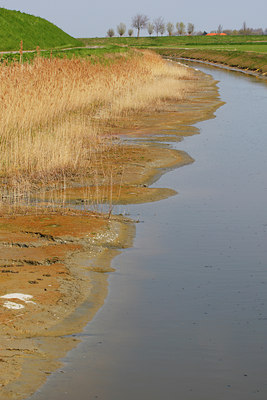 BUITEN BEELD Foto: 96538