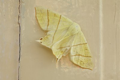 BUITEN BEELD Foto: 96541