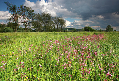 BUITEN BEELD Foto: 96573