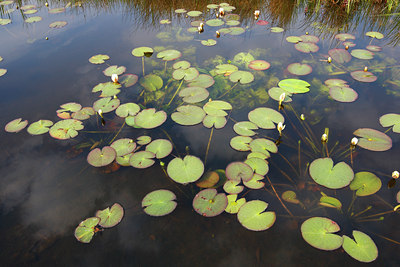 BUITEN BEELD Foto: 96576