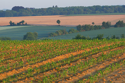 BUITEN BEELD Foto: 96588