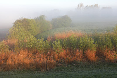 BUITEN BEELD Foto: 96602