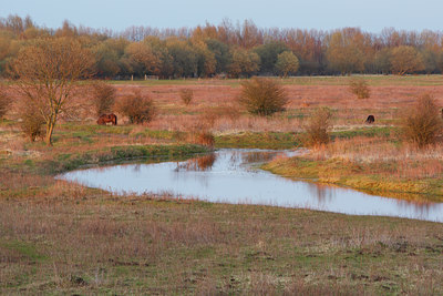 BUITEN BEELD Foto: 96604