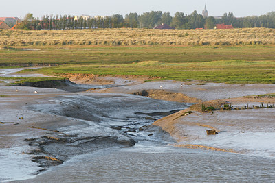 BUITEN BEELD Foto: 96614