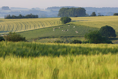 BUITEN BEELD Foto: 96627