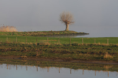 BUITEN BEELD Foto: 96669