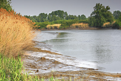 BUITEN BEELD Foto: 96679