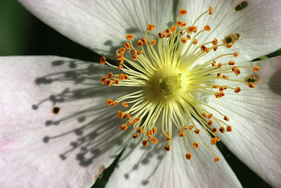 BUITEN BEELD Foto: 96697