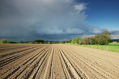 BUITEN BEELD Foto: 96709