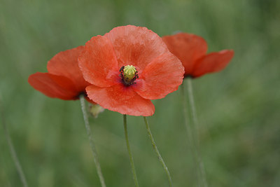 BUITEN BEELD Foto: 96717