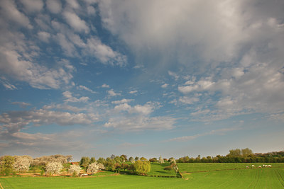 BUITEN BEELD Foto: 96750