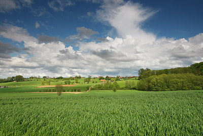 BUITEN BEELD Foto: 96763