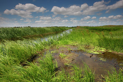 BUITEN BEELD Foto: 96791