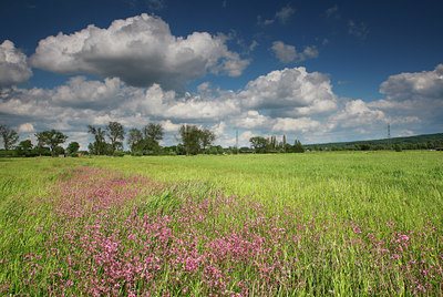 BUITEN BEELD Foto: 96801