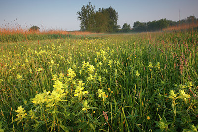 BUITEN BEELD Foto: 96802