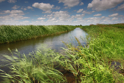 BUITEN BEELD Foto: 96815
