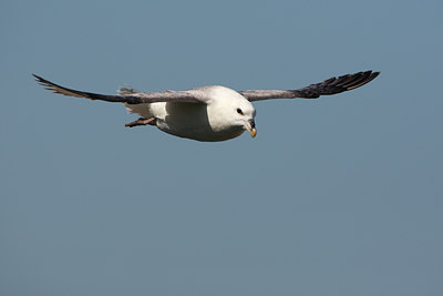 BUITEN BEELD Foto: 96820