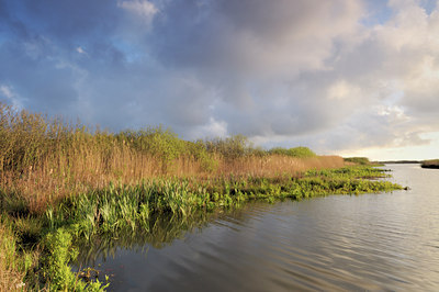 BUITEN BEELD Foto: 96837