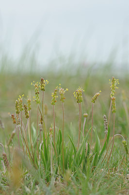 BUITEN BEELD Foto: 96848