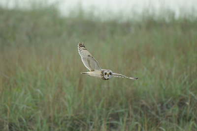 BUITEN BEELD Foto: 96892