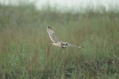 BUITEN BEELD Foto: 96892