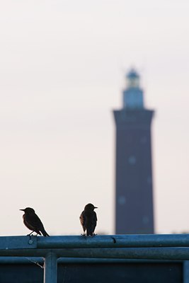 BUITEN BEELD Foto: 96955