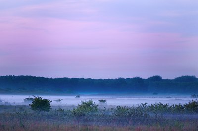 BUITEN BEELD Foto: 96965